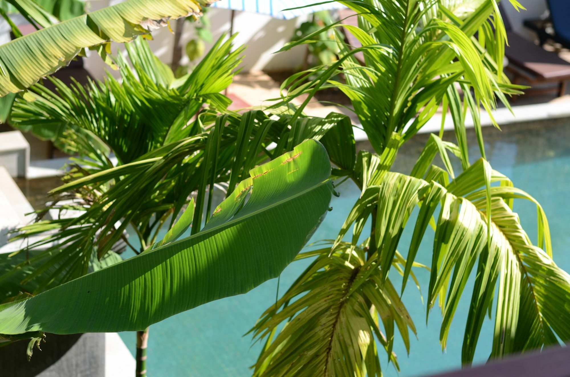 סיאם ריפ Rainsey Angkor Art & Home מראה חיצוני תמונה