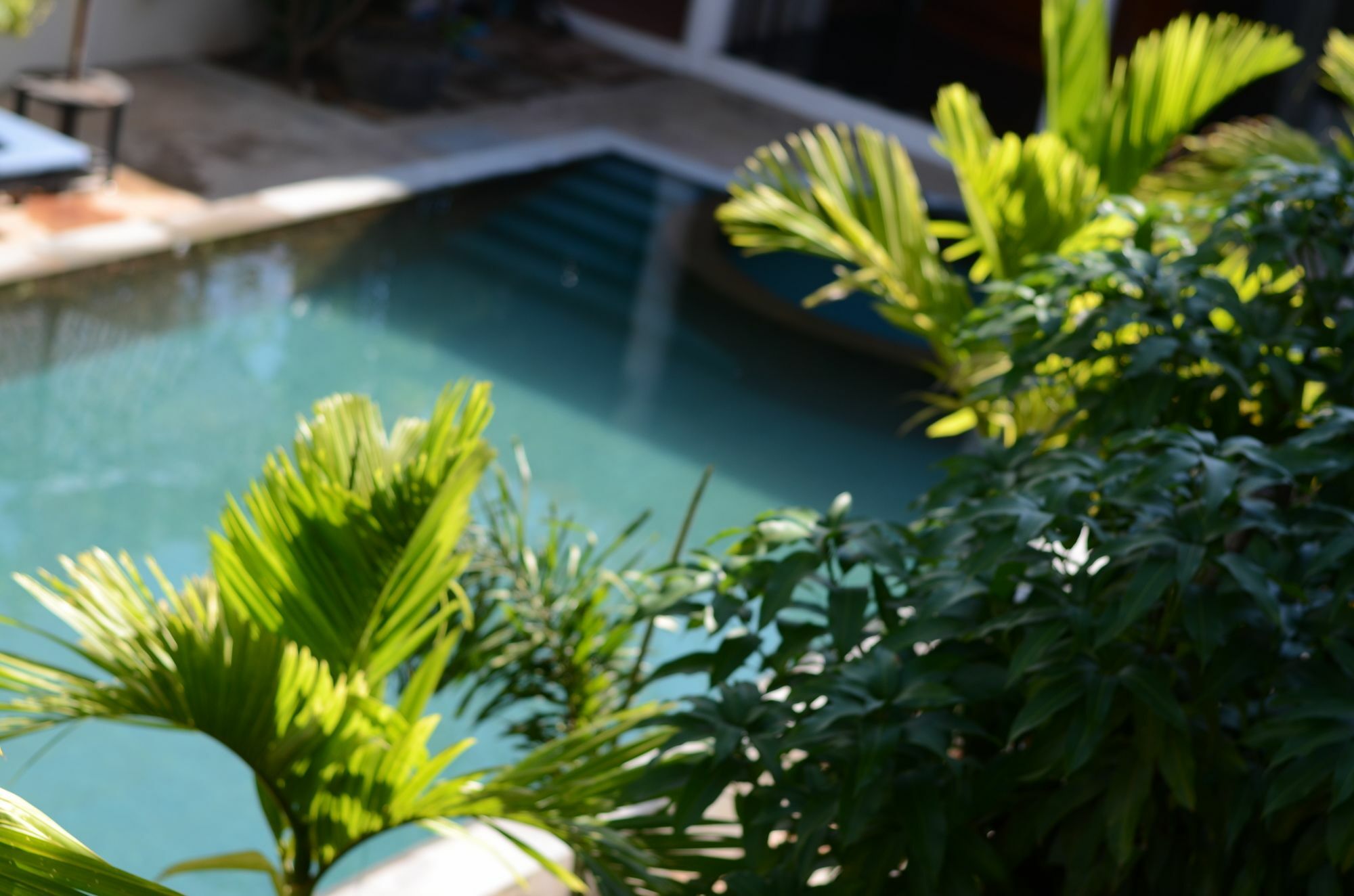 סיאם ריפ Rainsey Angkor Art & Home מראה חיצוני תמונה